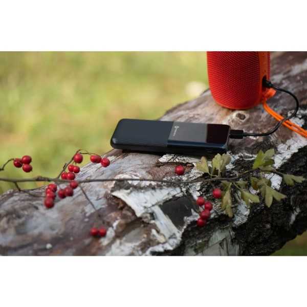 FORCELL F-ENERGY Batterie externe Noire 3A 20W 10000 mAh USB-C USB-A