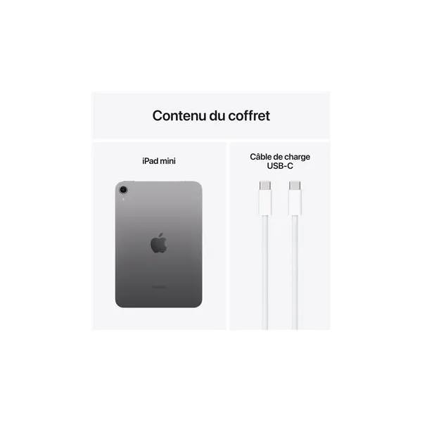 Contenu du coffret APPLE iPad mini 2024 (7ème génération) Puce A17 Pro Argent - Neuf