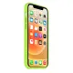 MOXIE BeFluo Coque iPhone 15 vert alpin