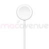 APPLE Câble Watch USB-C Charge Rapide (1 m)